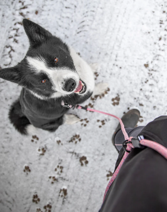 Walk