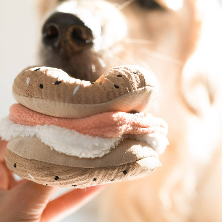 Bagel + Pickle Enrichment Dog Toy - Snuffle Toy Set