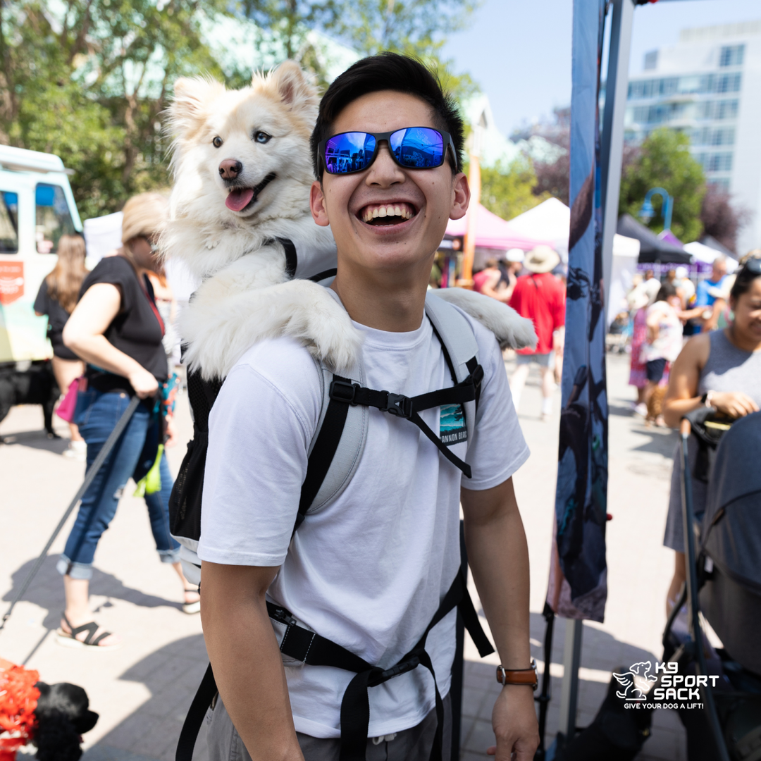 Knavigate | Advanced Dog Carrier with Internal Frame &amp; Hip Belt