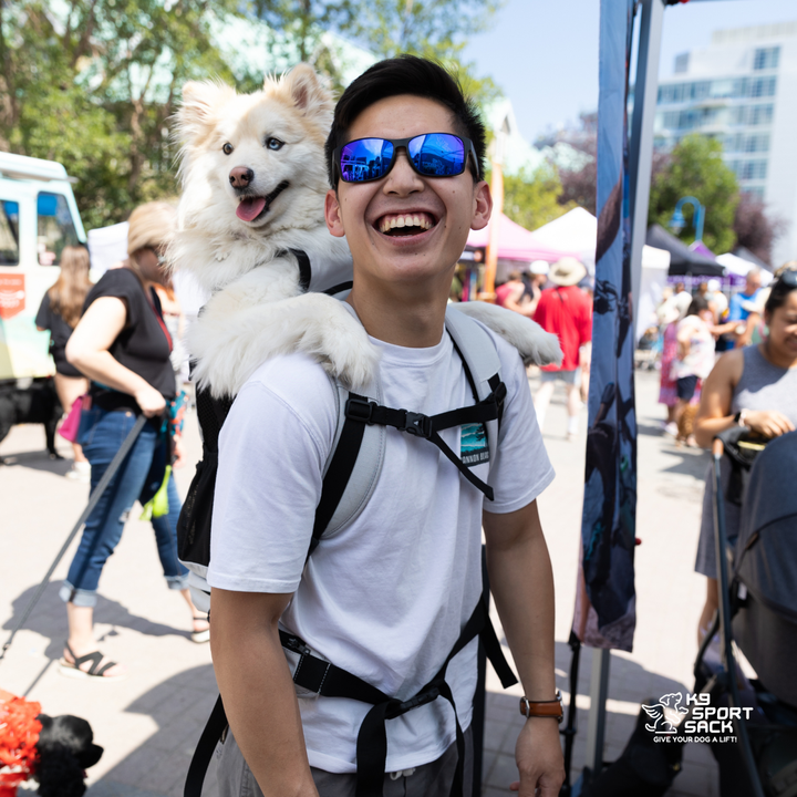Knavigate | Advanced Dog Carrier with Internal Frame &amp; Hip Belt