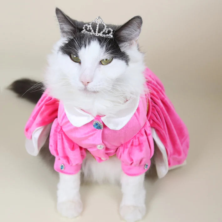 Princess Peach Outfit Set