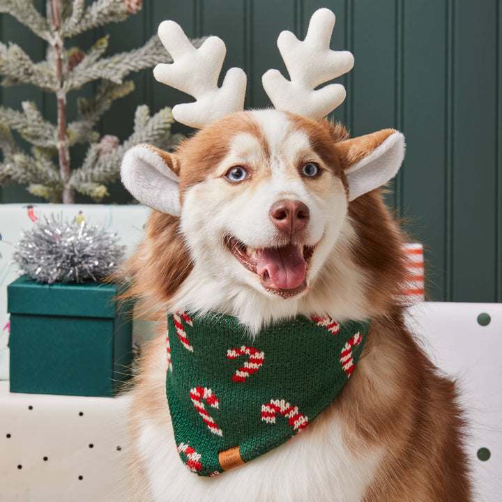 Candy Cane Knit Holiday Dog Bandana