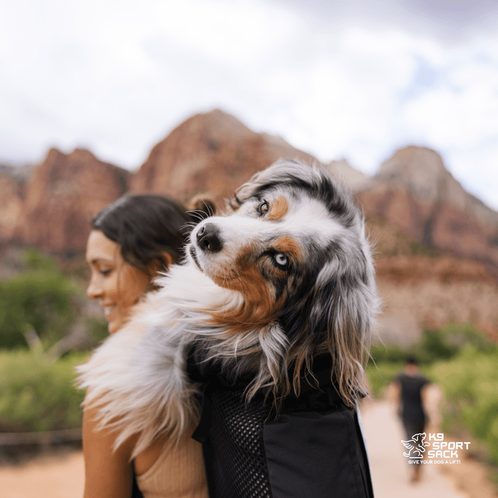 Knavigate | Advanced Dog Carrier with Internal Frame &amp; Hip Belt