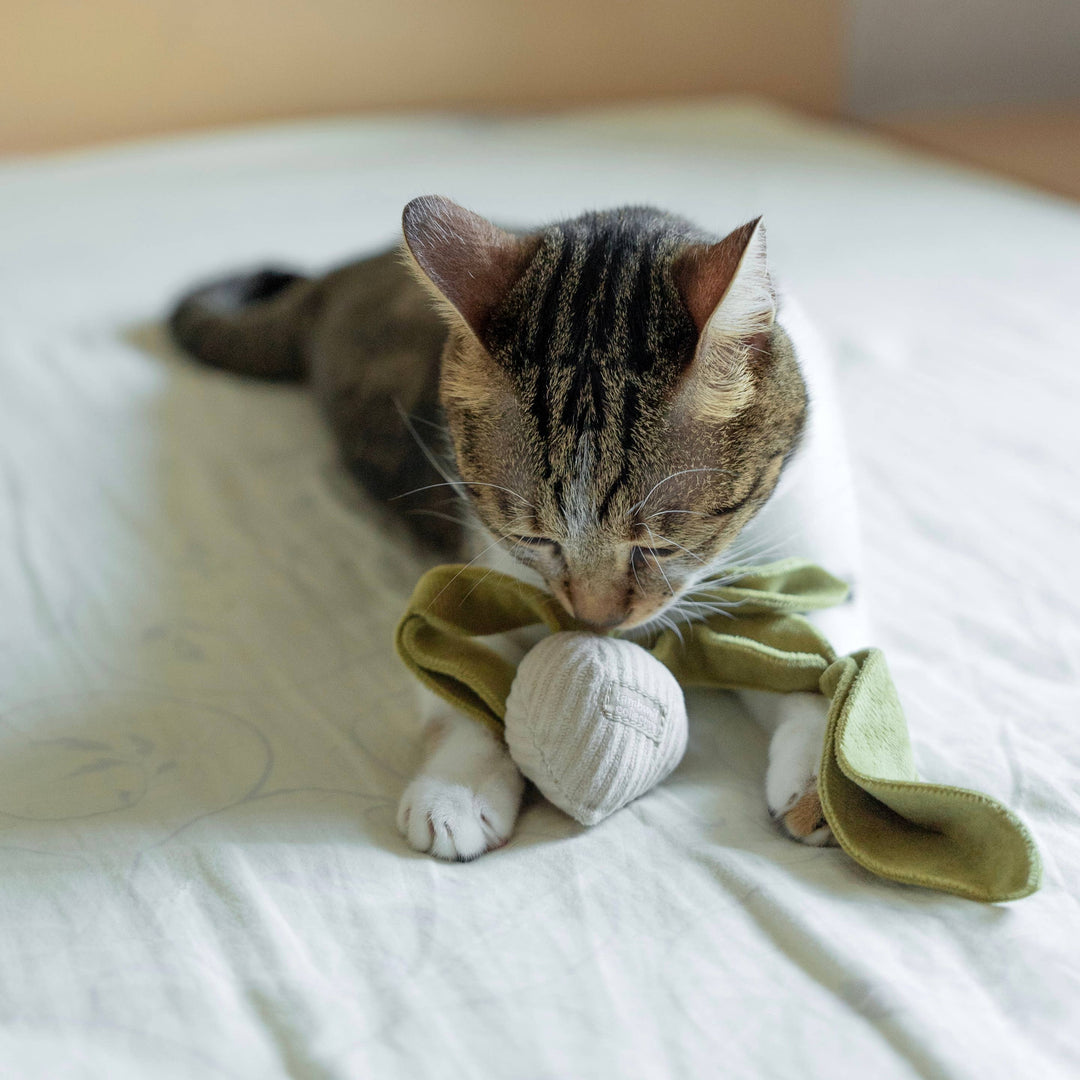 Kitty Radish Cat Toy