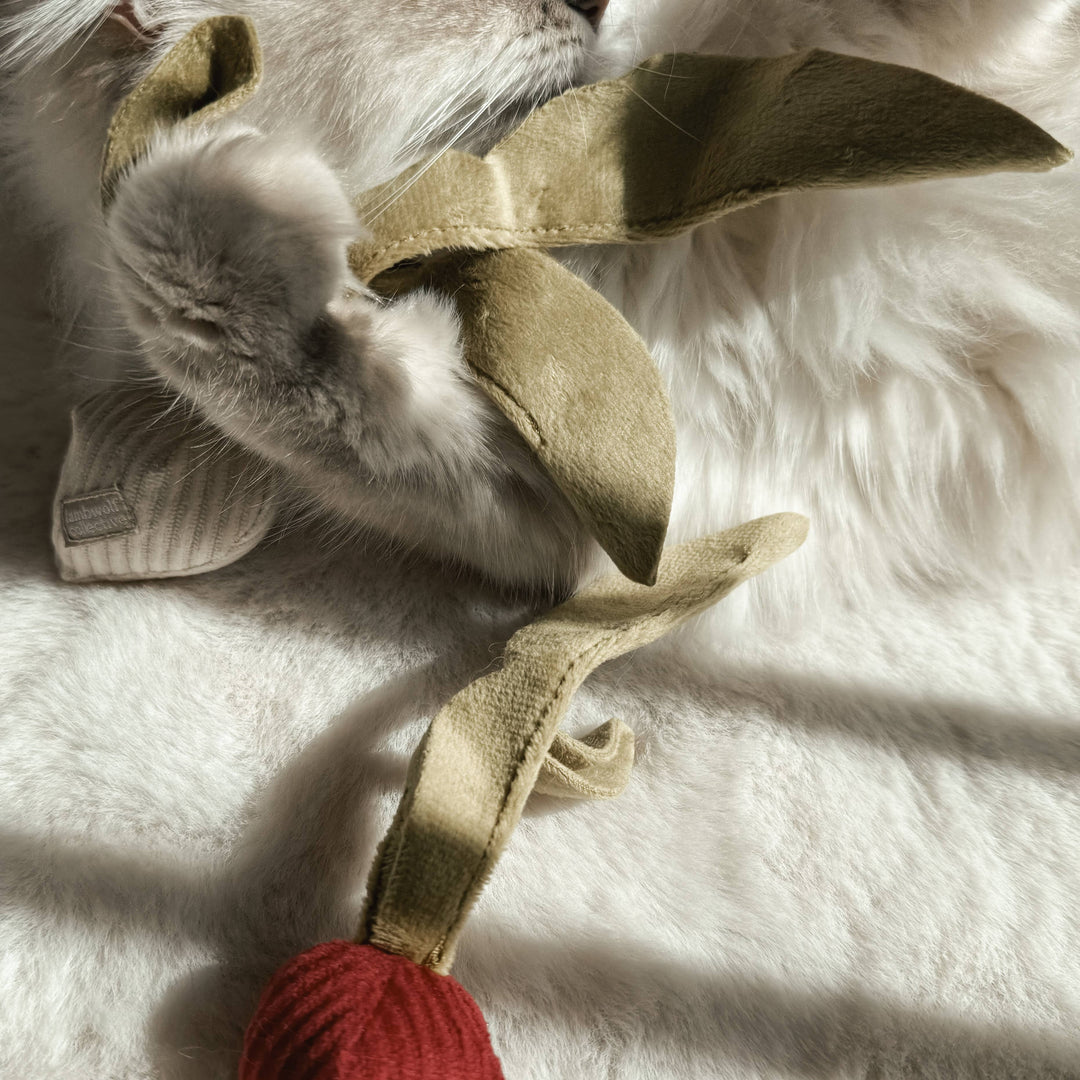 Kitty Radish Cat Toy