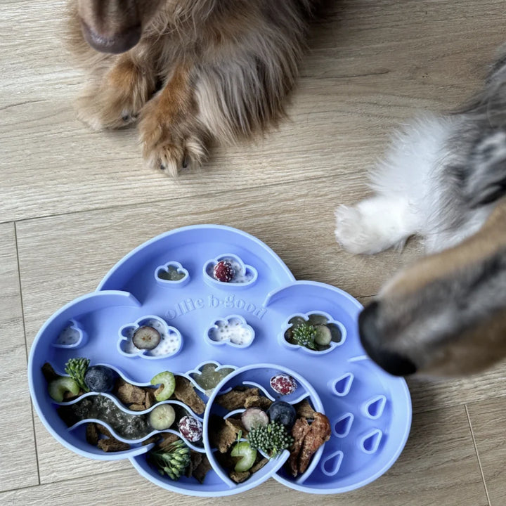 Cloud Slow Feeder Bowl