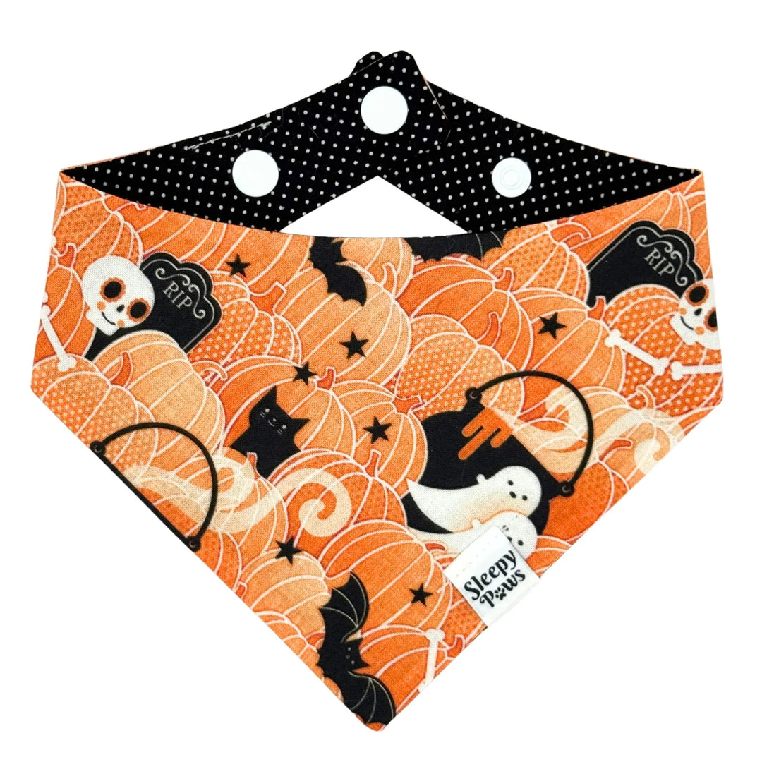 Pumpkin Patch Haunt Bandana