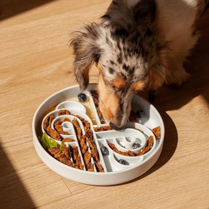 Zoomies Slow Feeder Bowl
