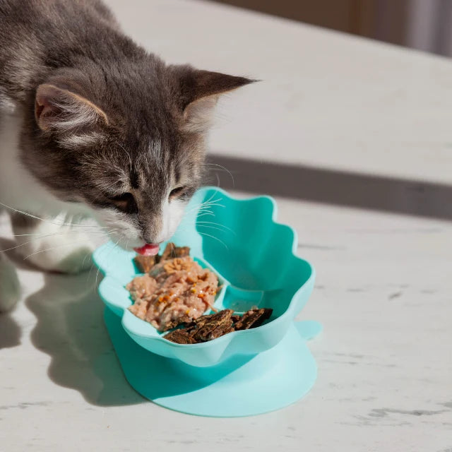 Whiskies Cat Bowl