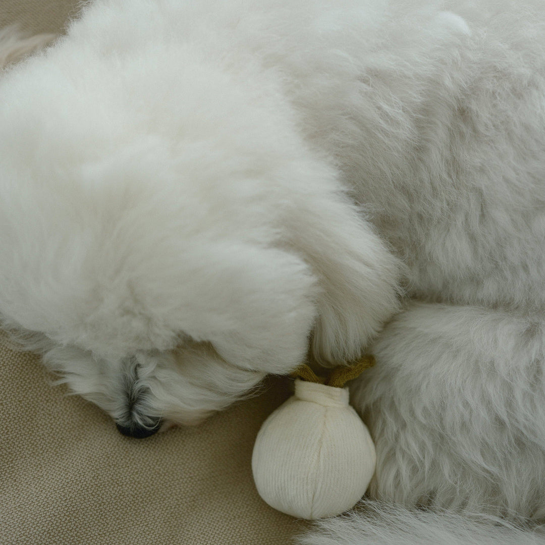 Garlic Pop Enrichment Dog Toy - Mini