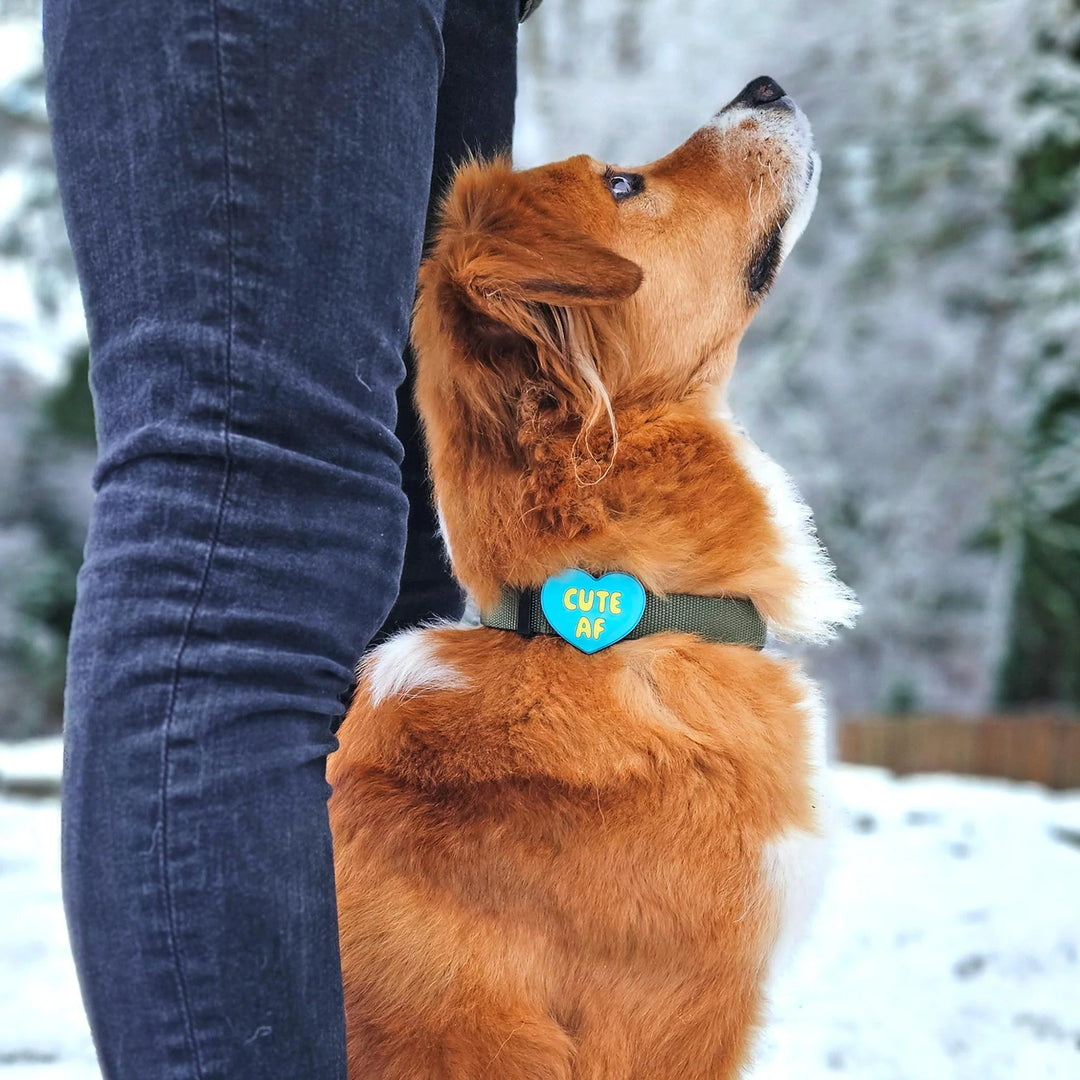 Cute AF Jiby Dog Charm