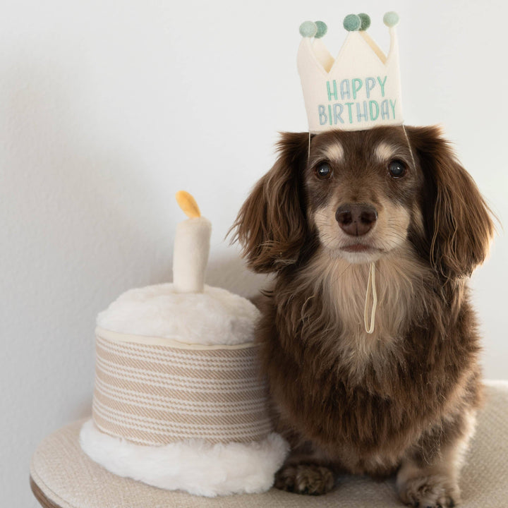 Birthday Cake Snuffle + Burrow Toy Set