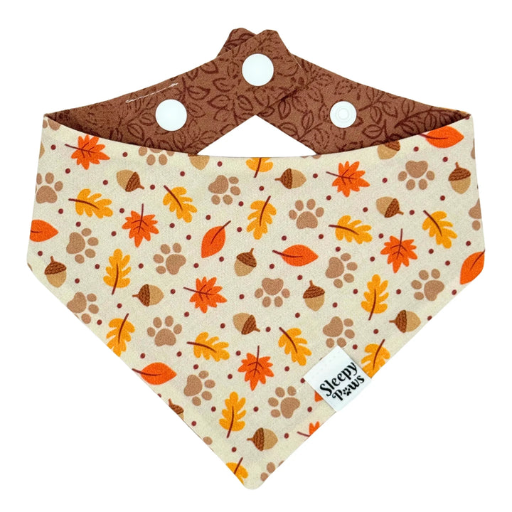 Autumn Strolls Bandana