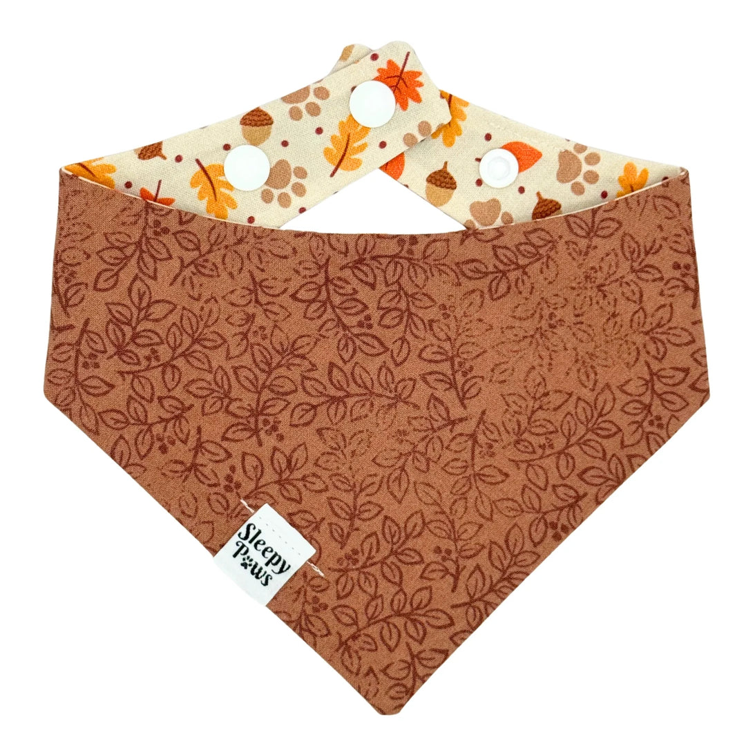 Autumn Strolls Bandana