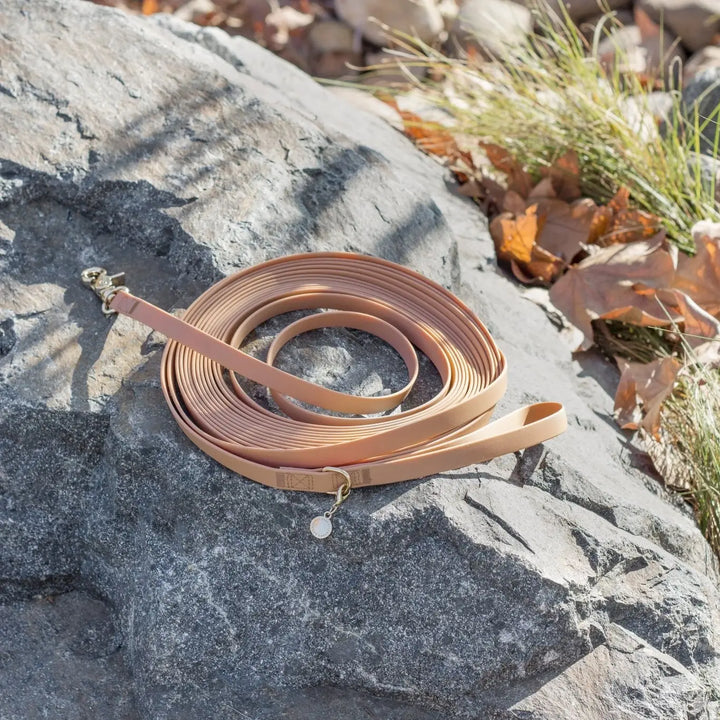 Chai Brown Waterproof Cloud 30 ft Dog Leash