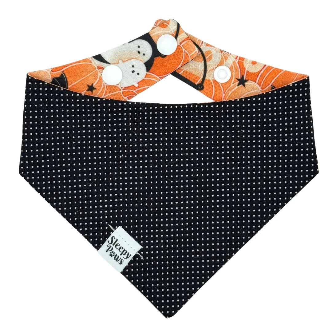 Pumpkin Patch Haunt Bandana