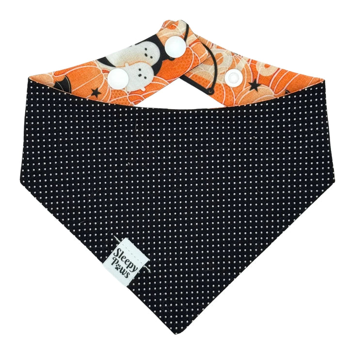 Pumpkin Patch Haunt Bandana