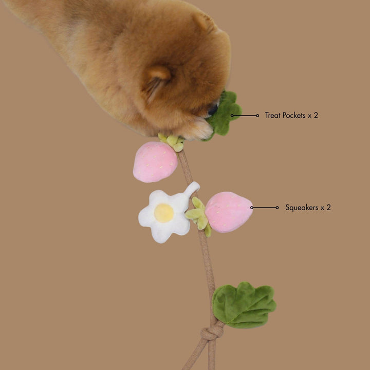 Strawberry Vine Rope Toy