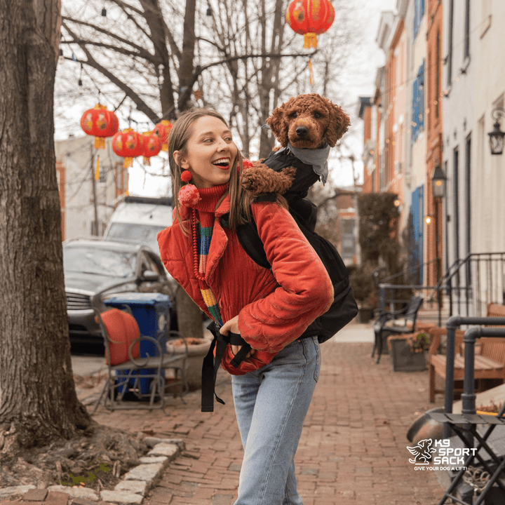 Knavigate | Advanced Dog Carrier with Internal Frame &amp; Hip Belt