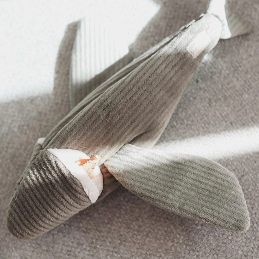 Flying Fish Enrichment Snuffle Toy