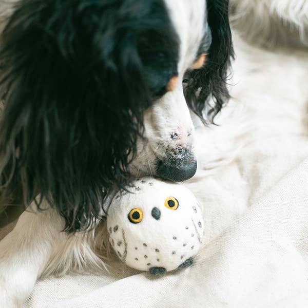 Snow Owl Beastball Wool Dog Toy