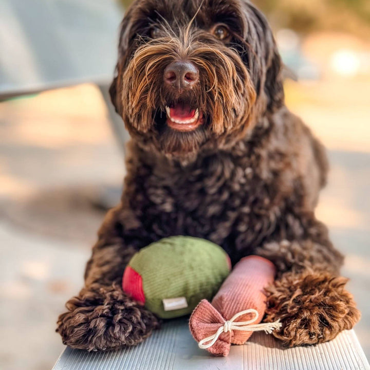 Olive + Salami Enrichment Dog Toy Set