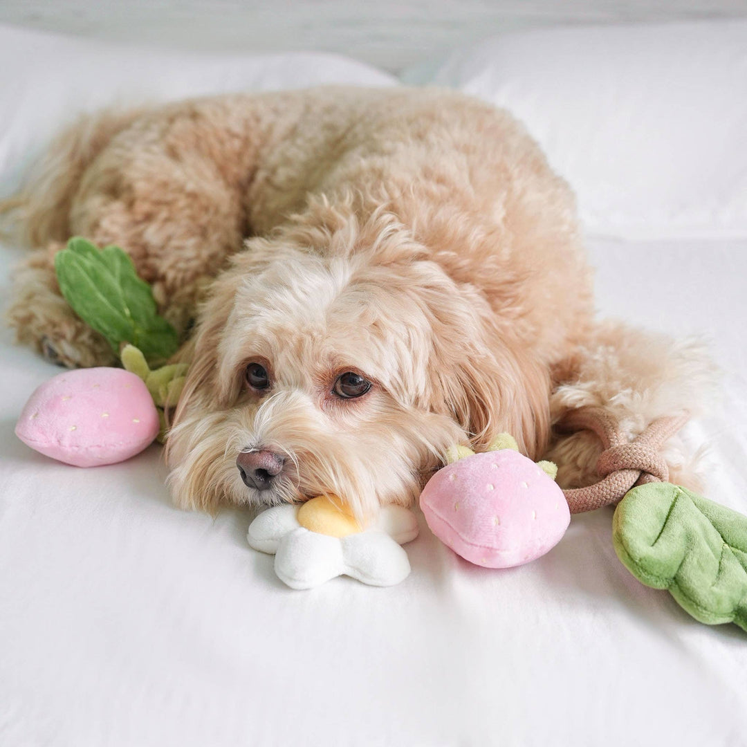 Strawberry Vine Rope Toy
