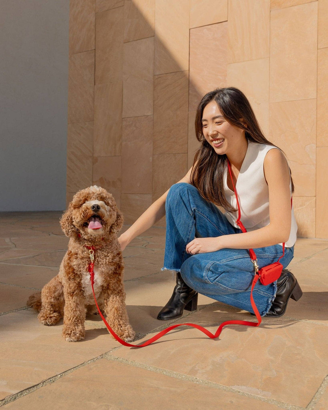 Cherry Red 4-in-1 Convertible Hands Free Cloud Dog Leash