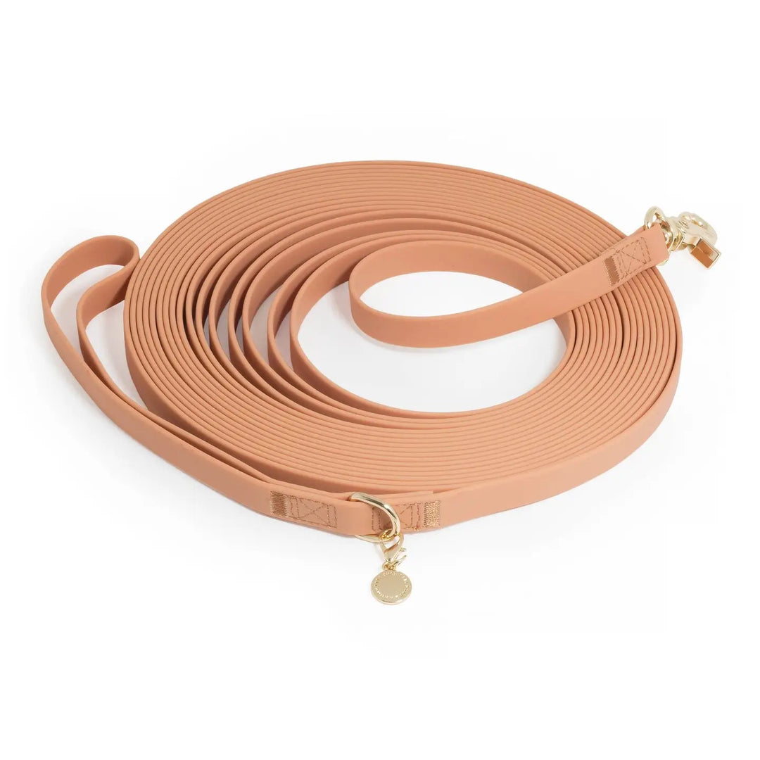 Chai Brown Waterproof Cloud 30 ft Dog Leash