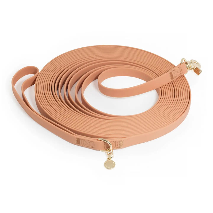 Chai Brown Waterproof Cloud 30 ft Dog Leash