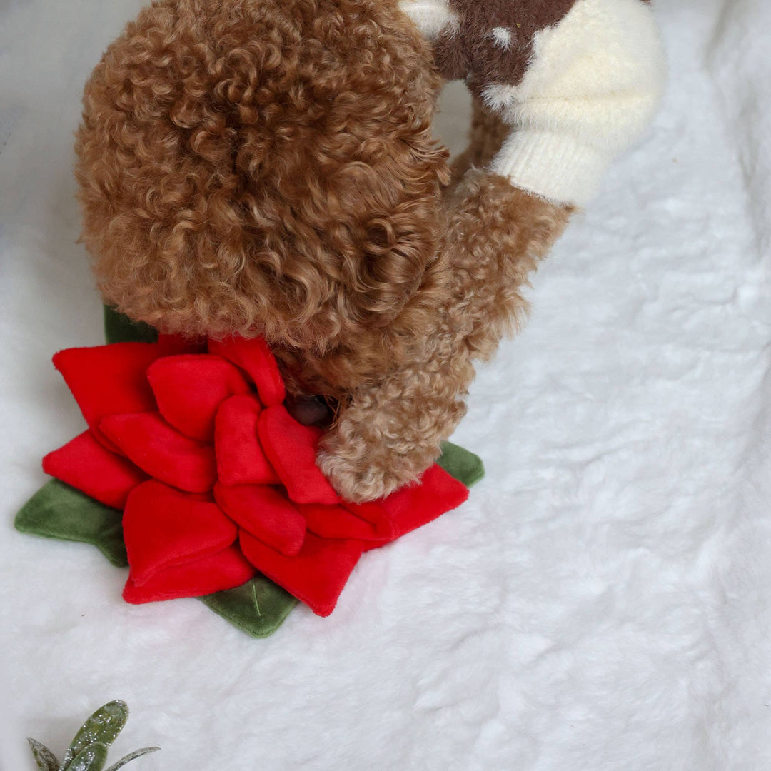 Snuffle Poinsettia Nosework Toy