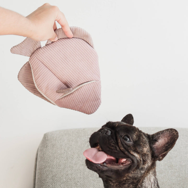 Angel Fish Enrichment Dog Toy - Snuffle + Burrow