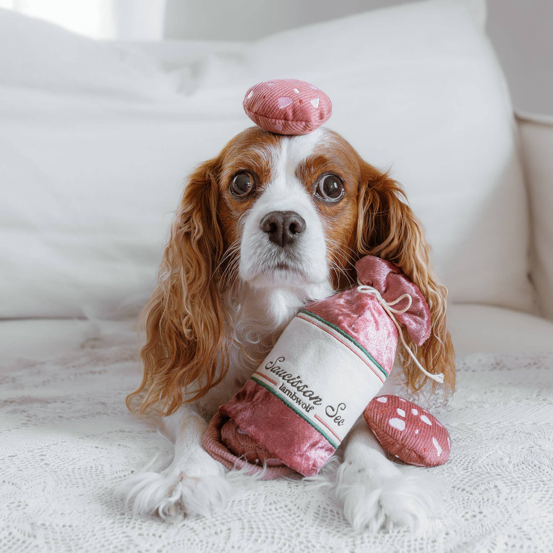 Saucisson Sec Enrichment Dog Toy