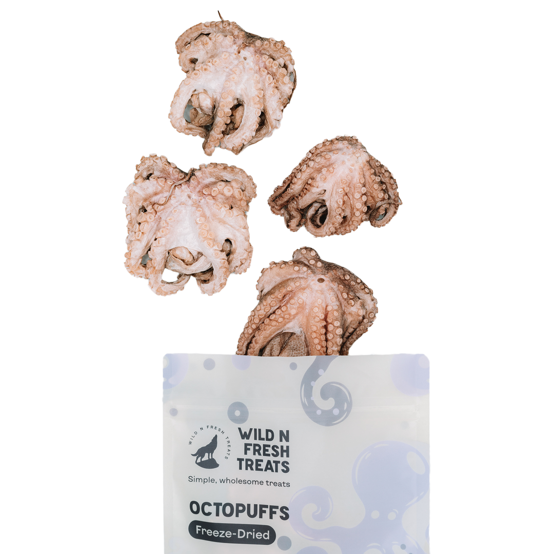 Freeze-Dried Octopuffs