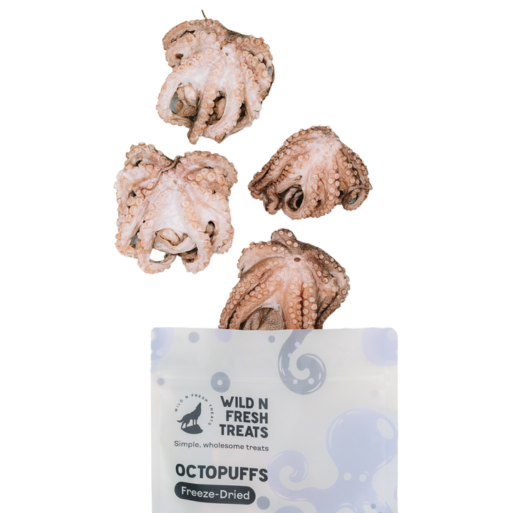 Freeze-Dried Octopuffs