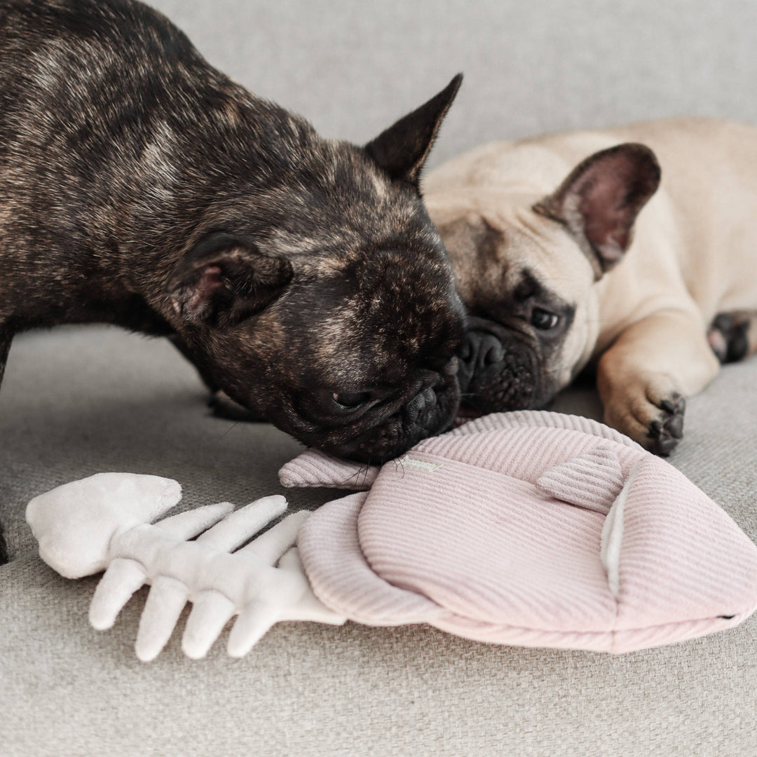 Angel Fish Enrichment Dog Toy - Snuffle + Burrow