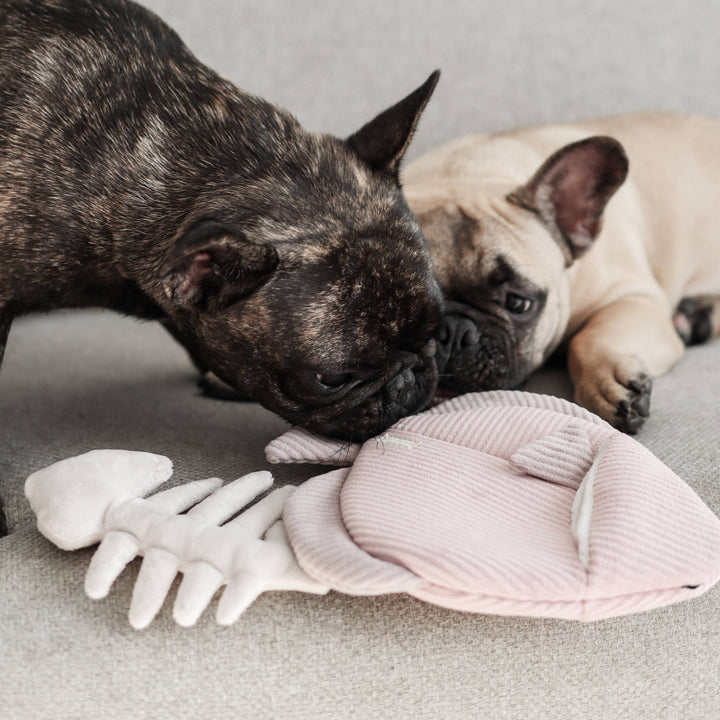 Angel Fish Enrichment Dog Toy - Snuffle + Burrow