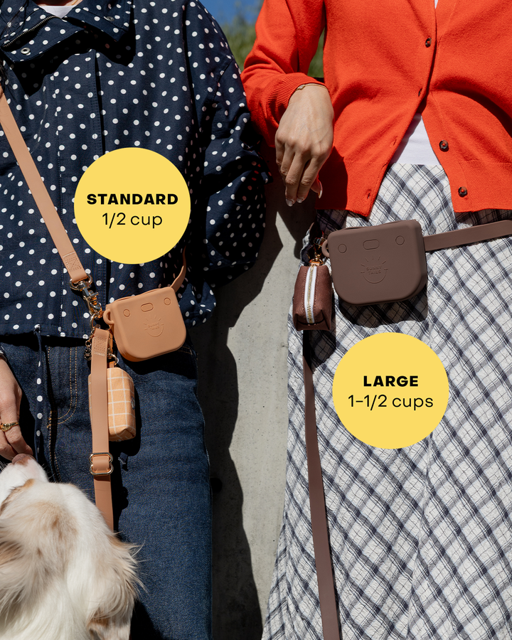 Lunar Glow Snap Dog Treat Pouch