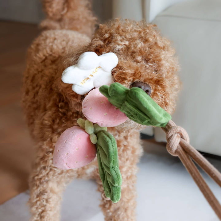 Strawberry Vine Rope Toy