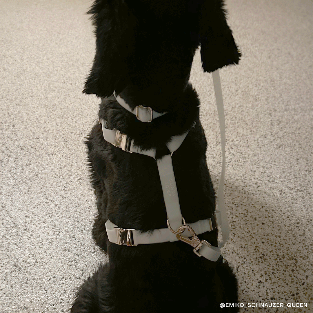 Lunar Glow Snap Dog Treat Pouch