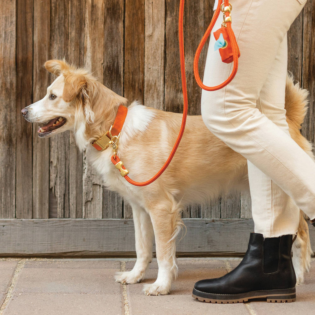 Cider Waxed Canvas Poop Bag Dispenser