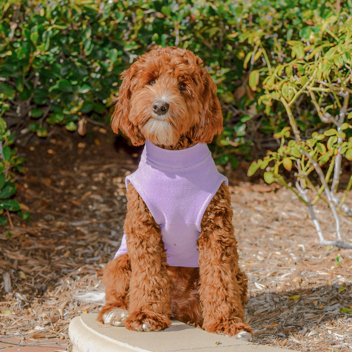 Stretch Fleece Vest