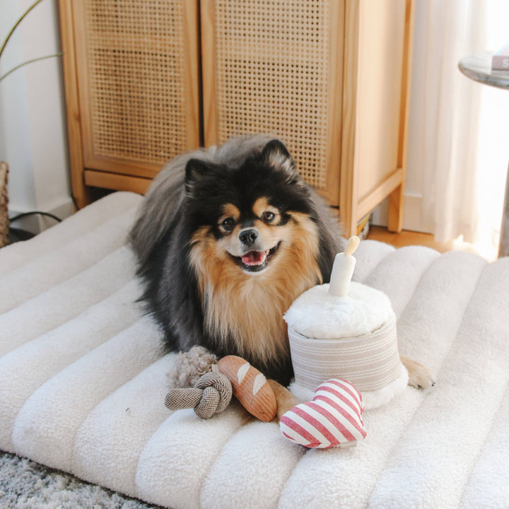 Birthday Cake Snuffle + Burrow Toy Set