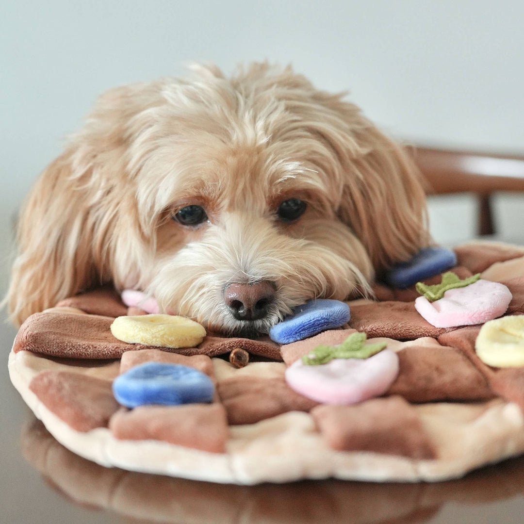 Fruity Delight Crêpe Snuffle Mat