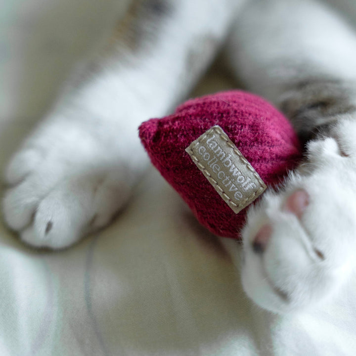 Kitty Radish Cat Toy