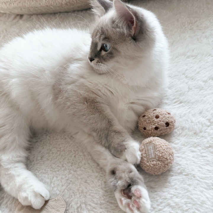 Kitty Tea Time Cat Toy