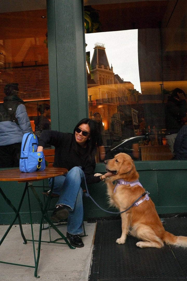 Molo Dog Walking Bag
