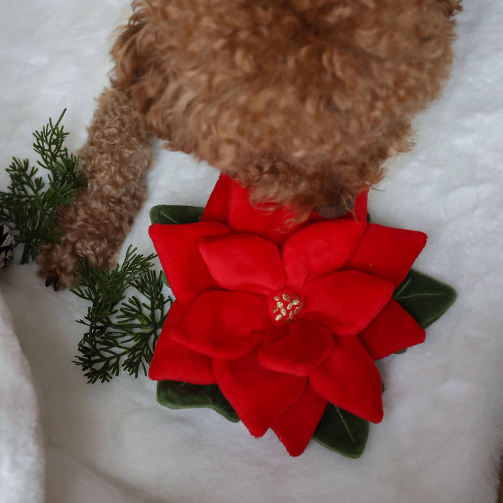Snuffle Poinsettia Nosework Toy