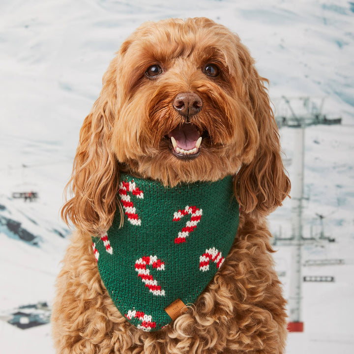 Candy Cane Knit Holiday Dog Bandana