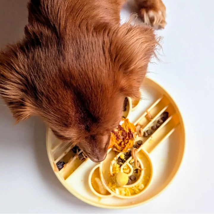 Zoomies Slow Feeder Bowl